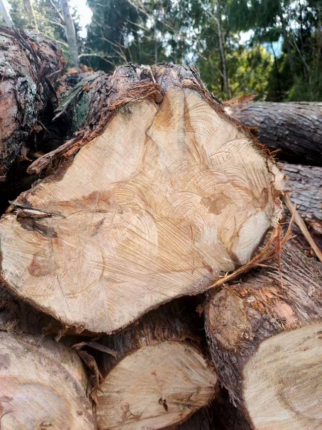 四川省达州市供应木材，价格面议